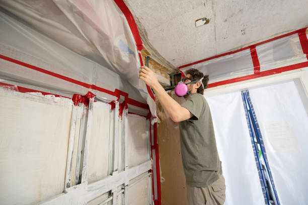 Best Mold-Related Health Consultation  in Two Harbors, MN