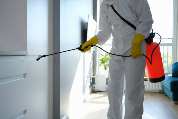 Best Crawl Space Mold Remediation  in Two Harbors, MN