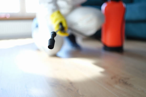 Best Biohazard Mold Removal  in Two Harbors, MN