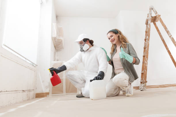 Best Mold Documentation for Insurance Claims  in Two Harbors, MN
