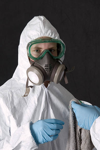 Reliable Two Harbors, MN Mold Removal Solutions